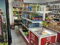 Действующий магазин · 46 м² за 5 млн ₸ в Караганде, Алихана Бокейханова р-н — фото 4