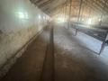 Сельское хозяйство · 2500 м² за 75 млн ₸ в Шымкенте, Абайский р-н — фото 19