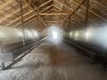 Сельское хозяйство · 2500 м² за 75 млн ₸ в Шымкенте, Абайский р-н — фото 21