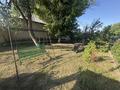 Сельское хозяйство · 2500 м² за 75 млн ₸ в Шымкенте, Абайский р-н — фото 8