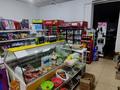 Магазины и бутики • 320 м² за 56 млн 〒 в Талгаре — фото 46