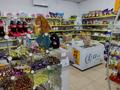 Магазины и бутики • 320 м² за 56 млн 〒 в Талгаре — фото 9