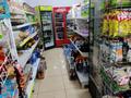 Магазины и бутики • 320 м² за 56 млн 〒 в Талгаре — фото 13