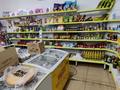 Магазины и бутики • 320 м² за 56 млн 〒 в Талгаре — фото 15