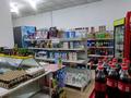 Магазины и бутики • 320 м² за 56 млн 〒 в Талгаре — фото 18