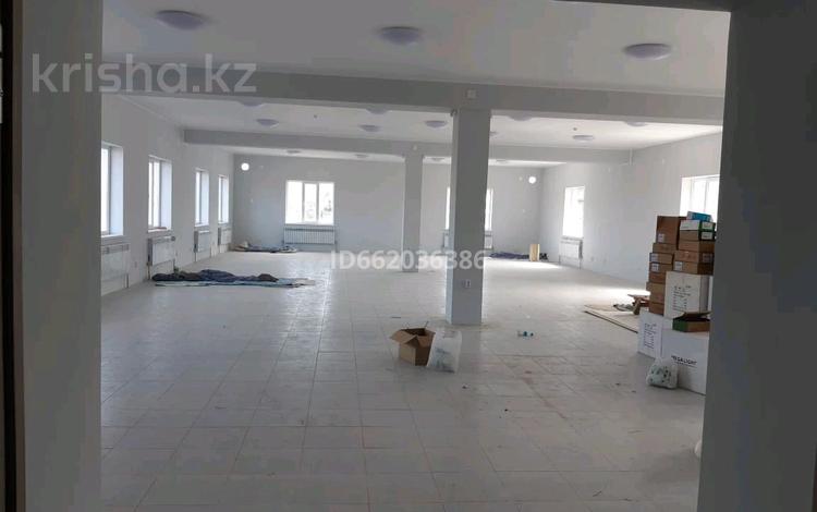 Свободное назначение • 700 м² за 1.4 млн 〒 в Талгаре — фото 2