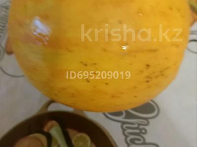 Дача · 4 комнаты · 53.12 м² · 5.2 сот., Малиновая за 5.3 млн 〒 в Кокшетау