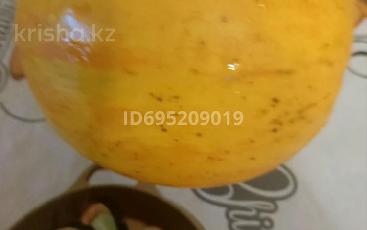 Дача · 4 комнаты · 53.12 м² · 5.2 сот., Малиновая за 5.3 млн 〒 в Кокшетау — фото 62