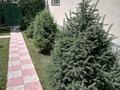 Отдельный дом · 6 комнат · 200 м² · 14 сот., улица Аргымак 1 — Абая за 39 млн ₸ в Таразе — фото 9