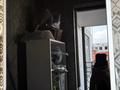Жеке үй · 4 бөлме · 180 м² · 6.5 жүзд., Учетный квартал 117, бағасы: 65 млн ₸ в Кемертогане — фото 21