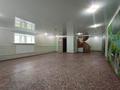 Отдельный дом · 24 комнаты · 400 м² · 25 сот., Саяхат 1/3 за 45 млн ₸ в Семее — фото 22