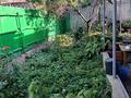 Отдельный дом · 3 комнаты · 58.8 м² · 6.04 сот., Кулантобе 22 за 15 млн ₸ в Каргалы (п. Фабричный) — фото 9