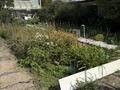 Отдельный дом · 4 комнаты · 94 м² · 6.3 сот., мкр Фёдоровка , Орлова 81 за 19.9 млн ₸ в Караганде, Казыбек би р-н — фото 26