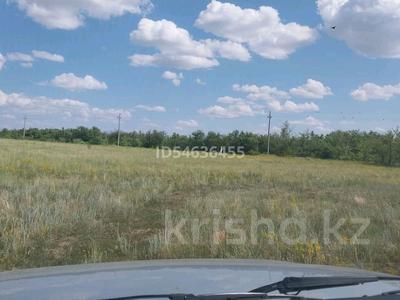 Жер телімі · 2 га, Маржанбулак, бағасы: 9.5 млн ₸