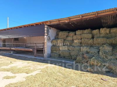 Отдельный дом · 4 комнаты · 80 м² · 20 сот., Мұрап 131 за 30 млн 〒 в 