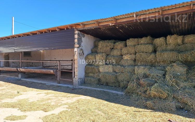 Жеке үй · 4 бөлме · 80 м² · 20 сот., Мұрап 131, бағасы: 37 млн 〒 в  — фото 4