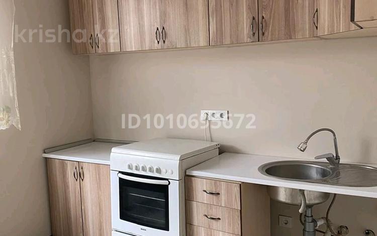 1-комнатная квартира · 31 м² · 1/1 этаж, Байгушикова 37 за 130 000 ₸ в Туздыбастау (Калинино) — фото 3
