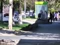 2-бөлмелі пәтер · 39 м² · 3/3 қабат, Азаттык 86, бағасы: 13.5 млн ₸ в Атырау, мкр Жилгородок — фото 43