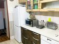 Часть дома · 4 комнаты · 75 м² · 7.4 сот., Баубекова за 28 млн ₸ в Шамалгане — фото 26