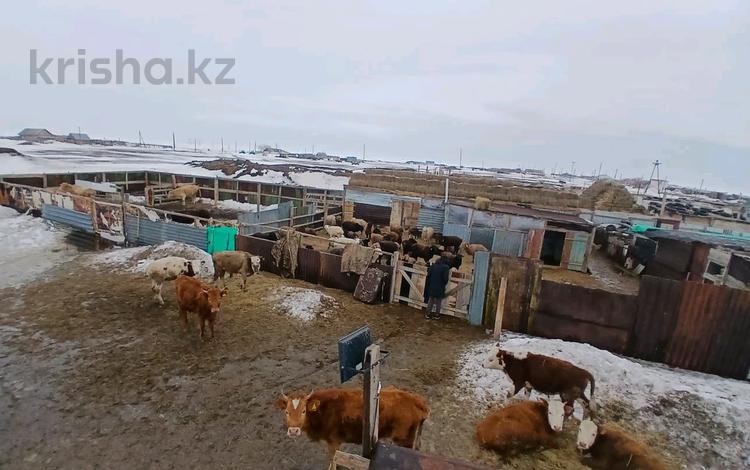 Участок · 1100 га, Каракол 12 — Село Каракол, Озерский с.о за 20 млн ₸ в Озерки — фото 2