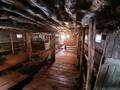 Участок · 1100 га, Каракол 12 — Село Каракол, Озерский с.о за 20 млн ₸ в Озерки — фото 6