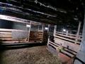 Участок · 1100 га, Каракол 12 — Село Каракол, Озерский с.о за 20 млн ₸ в Озерки — фото 7