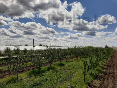 Сад с плодовыми деревьями · 13000 м² за 45 млн ₸ в Уральске, мкр. Зачаганск пгт