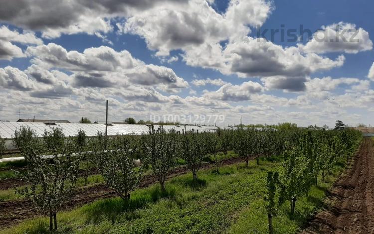 Сад с плодовыми деревьями · 13000 м² за 45 млн ₸ в Уральске, мкр. Зачаганск пгт — фото 2