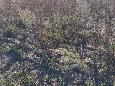 Жер телімі · 16 сотық, проспект Ондирис, бағасы: 5 млн ₸ в Есиль