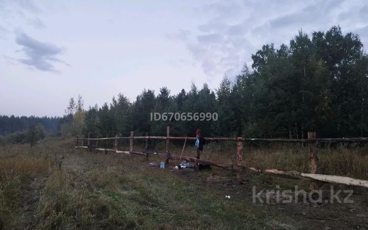 Участок · 16 соток, Орман 15к — Котельная за 15 млн ₸ в Красный Кордон — фото 10