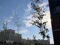 4-комнатная квартира · 115 м² · 4/9 этаж, Алихан Бокейхан 16/3 за 100 млн ₸ в Астане, Есильский р-н — фото 4