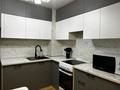 2-комнатная квартира · 46 м² · 2/6 этаж, Е319 ул 2 за 250 000 ₸ в Астане, Есильский р-н — фото 3