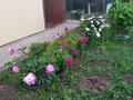 Дача · 4 комнаты · 70 м² · 6 сот., мкр Жулдыз за 6 млн ₸ в Уральске — фото 3