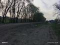 Участок · 0.08 га, Бұқар жырау 104 за 3 млн ₸ в Екпинды — фото 2
