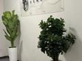2-бөлмелі пәтер · 52 м² · 5/6 қабат, Мкр. Нуркент — Рыскулова Момышулы, бағасы: 41 млн ₸ в Алматы, Алатауский р-н — фото 3