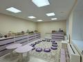 Образование · 154 м² за 70 млн ₸ в Астане — фото 9