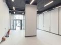 Еркін · 137.5 м², бағасы: 1.5 млн ₸ в Астане, Сарайшык р-н — фото 33