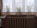 Отдельный дом · 4 комнаты · 85 м² · 43 сот., Гальчевского за 28 млн ₸ в Нура — фото 13