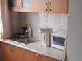 Отдельный дом · 4 комнаты · 85 м² · 43 сот., Гальчевского за 28 млн ₸ в Нура — фото 8