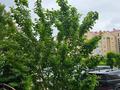 2-бөлмелі пәтер · 90 м² · 2/5 қабат, мкр. Алтын орда, Алтын орда 9/3, бағасы: 250 000 ₸ в Актобе