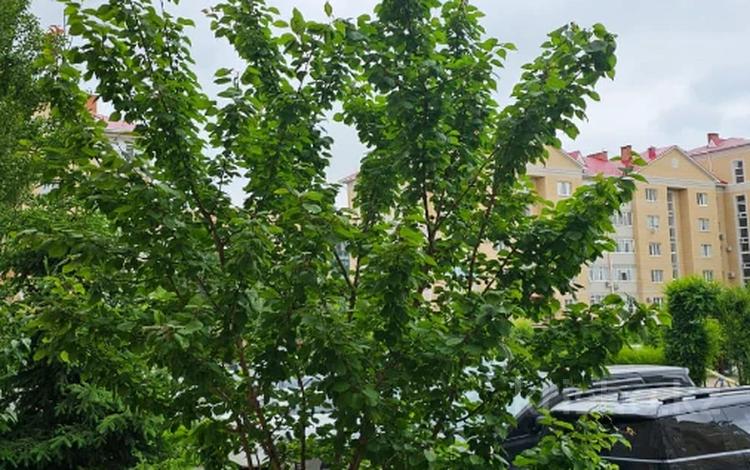 2-бөлмелі пәтер · 90 м² · 2/5 қабат, мкр. Алтын орда, Алтын орда 9/3, бағасы: 250 000 ₸ в Актобе — фото 2