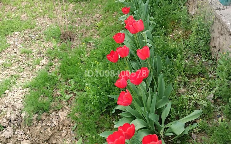 Жеке үй · 4 бөлме · 150 м² · 8 жүзд., Дильдабеков 2 — Мадениет уйінің жанында мектеп жакын, бағасы: 15 млн ₸ в Жетысае — фото 3