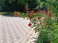Жеке үй · 5 бөлме · 220 м² · 8 жүзд., Жеңіс 10, бағасы: 69.9 млн ₸ в Каскелене