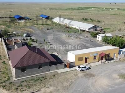 Сельское хозяйство, КРС · 6400 м² за 499 млн ₸ в Жанакоргане