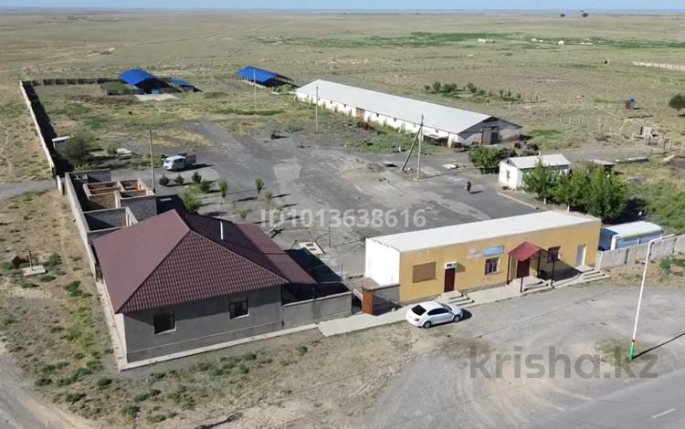 Сельское хозяйство, КРС · 6400 м² за 499 млн ₸ в Жанакоргане — фото 2