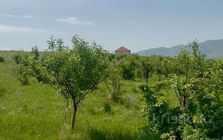 Отдельный дом · 2 комнаты · 75 м² · 6160 сот., Киелитас 1 — Поселка за 35 млн 〒 в Туркестанской обл. — фото 7