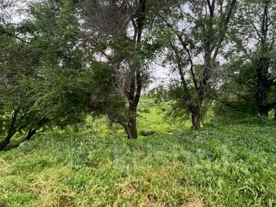 Участок · 3 га, Алматинская обл. за 240 млн 〒