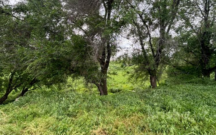 Участок · 3 га, Алматинская обл. за 240 млн 〒 — фото 2