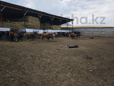 Сельское хозяйство · 48700 м² за 520 млн ₸ в Каракастеке