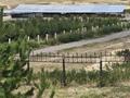 Сельское хозяйство · 48700 м² за 520 млн ₸ в Каракастеке — фото 2